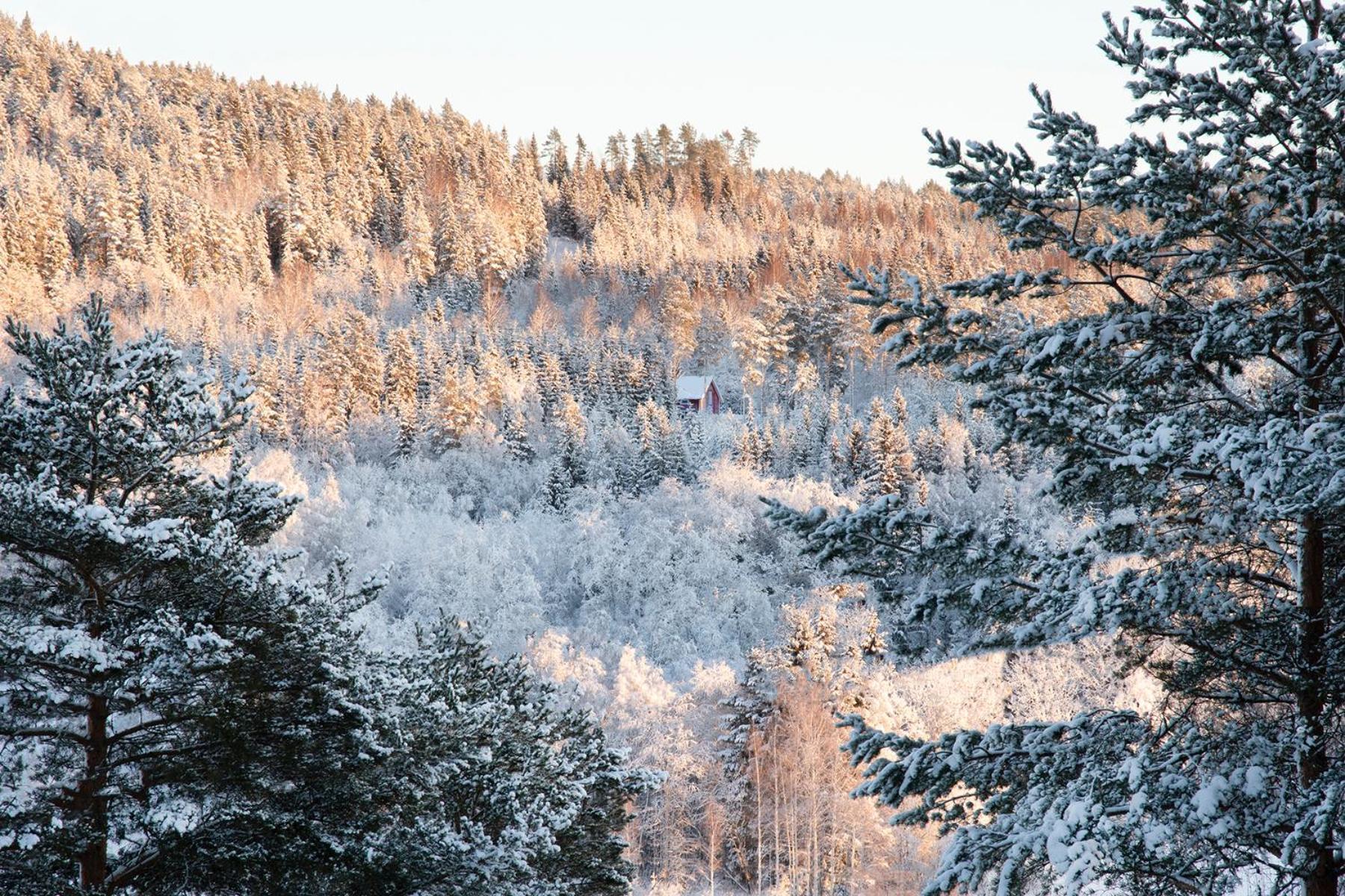 Torpet I Sjoe Villa Nyland  Buitenkant foto