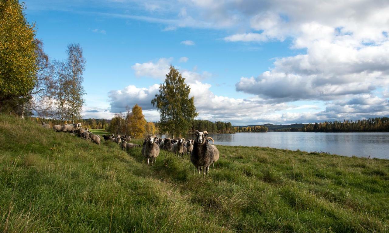 Torpet I Sjoe Villa Nyland  Buitenkant foto